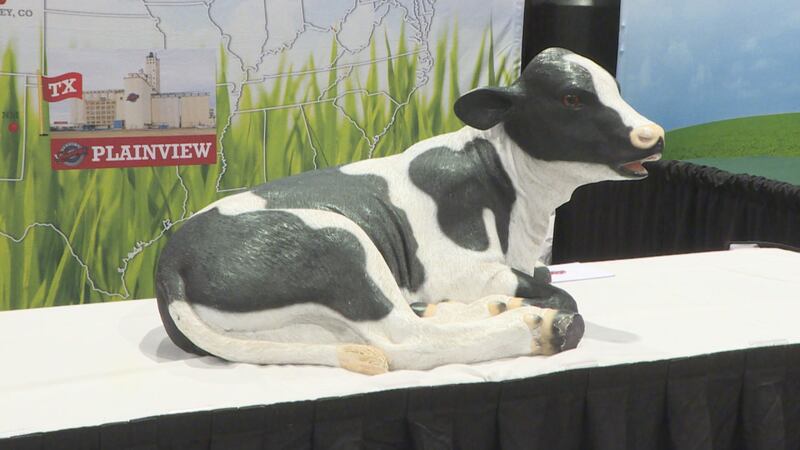 The Expo has been running for over 20-years