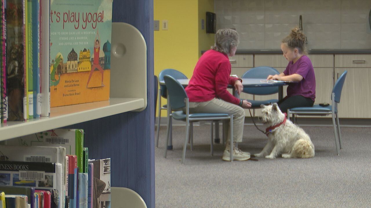 Reading confidently with the help of Tail Waggin' Tutors - Vimarsana News