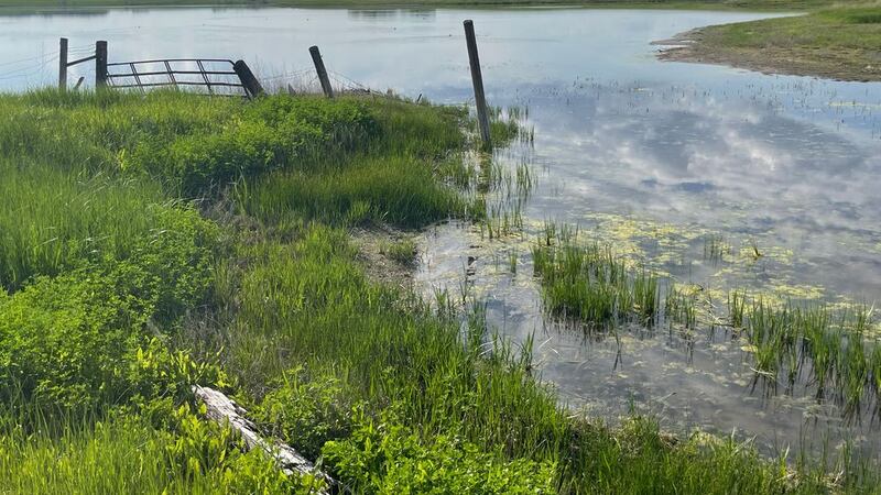South Dakota farmers have received billions of dollars in crop insurance payments due to hail,...