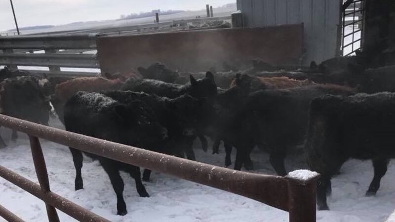 Photo courtesy of the Moody County Sheriff's Office