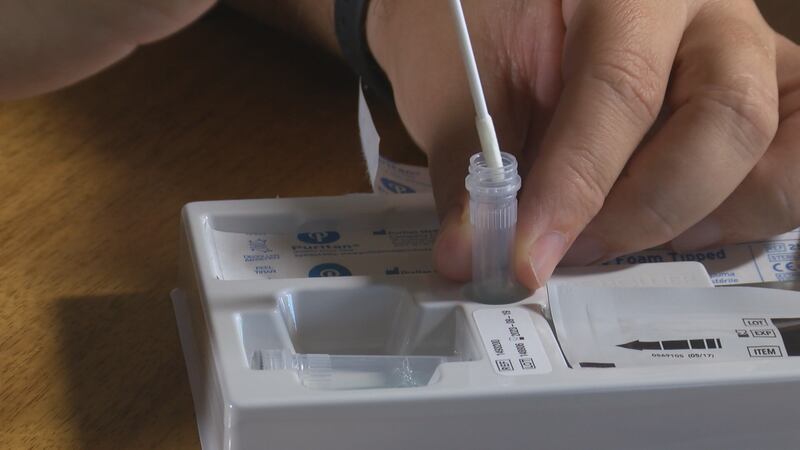 An individual performs an at-home COVID-19 test. (File)