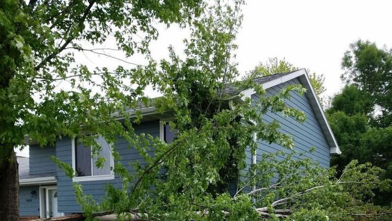 Many trees were knocked down by a severe thunderstorm that rolled through Sioux Falls Tuesday...