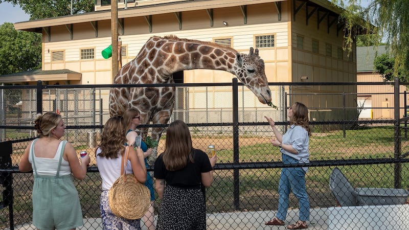 Great Plains Zoo hosting adult-oriented ‘Zoofari’ event