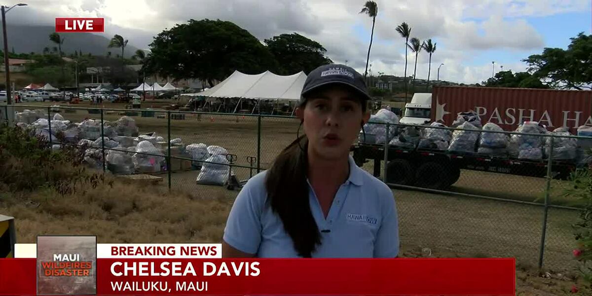 Death toll in Lahaina wildfire rises to 99 as hundreds remain ...